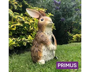 Primus Metal Inquisitive Brown Rabbit