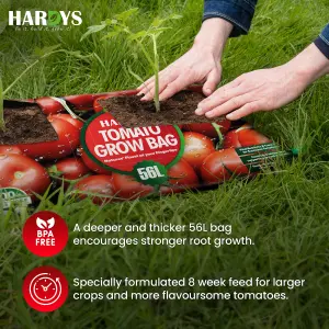 Hardys 56L Tomato Planter Grow Bag - Nutrient Enriched Peat Free Compost, Up to 8 Week Feed, Deep Fill, High Yield & Flavourful