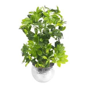 75cm Artificial Arboricola Gold Capella Plant - Silver Metal Planter