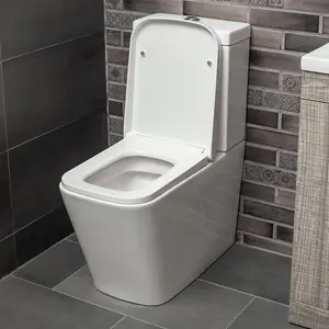 Danby Close Coupled Ceramic Toilet with Soft Close Seat, Quick Release Hinges & Includes Cistern