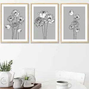 Set of 3 Sketch Art Peonies on Grey Wall Art Prints / 42x59cm (A2) / Oak Frame