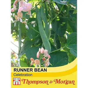 Runner Bean Celebration 1 Seed Packet