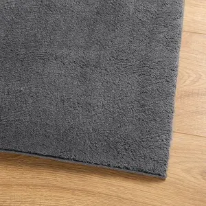 Rug HUARTE Short Pile Soft and Washable Anthracite 140x200 cm