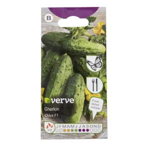 Verve Odys F1 gherkin Vegetable Seeds