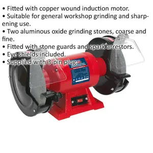 200mm Heavy-Duty Workshop Bench Grinder with 600W Copper Wound Motor and Dual Grinding Stones