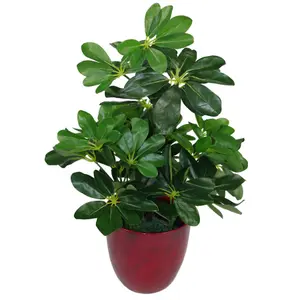 Artificial Arboricola Plant Umbrella Tree Black Plastic Pot 55cm Dark Plant Botanik