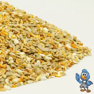 1kg BusyBeaks No Mess Seed Mix - Wild Bird Feed Premium Quality Garden Food