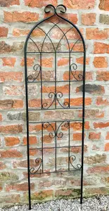 Garden Trellis Plant Metal Support (H)140cm (W) 40cm