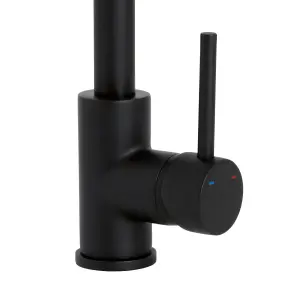 Cooke & Lewis Katiki Black Kitchen Pin side lever Tap