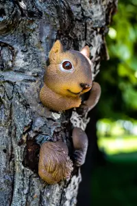 Squirrel Tree Peeker Garden Ornament