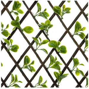 Expanding Wooden Trellis Privacy Screen - 200cm x 100cm - Garden Balcony Fence - Jade