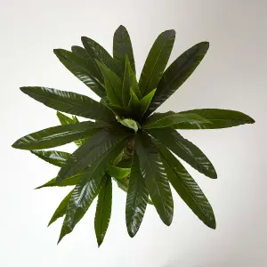 Homescapes Artificial Bird's Nest Fern in Pot, 120 cm Tall