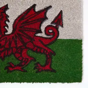 Homescapes Coir Doormat Welsh Dragon Flag, 40 x 60 cm