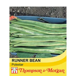 Runner Bean Polestar 1 Seed Packet (40 Seeds)