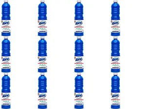 Asevi Disinfectant Floor and Surface Cleaner 1L (Pack of 12)