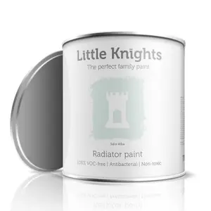 Little Knights Radiator Paint - Salix Alba - 750ml