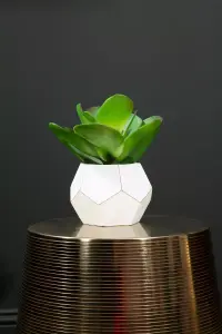 Fiori White Cement Pot Succulent Artificial Plant Foliage