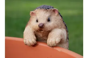 A decorative Hedgehog Pot Hanger Ornament