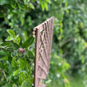 Set of 3 Willow Trellis Framed Panel (120cm x 45cm)