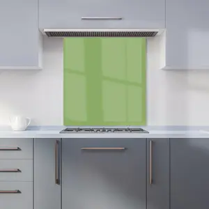 Thyme Green Premium Glass Kitchen Splashback W600mm x H600mm