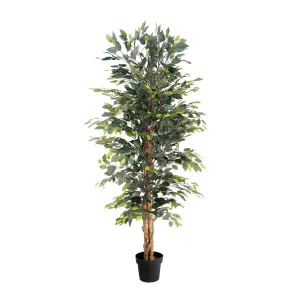 Blooming Artificial - 150cm / 5ft Artificial Ficus Tree