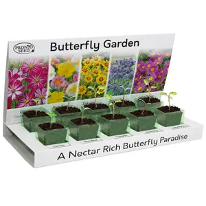 Pronto Seed Grow Your Own Flowers Kit - 5 Flower Seed Varieties - Gardening Gifts for Men and Women