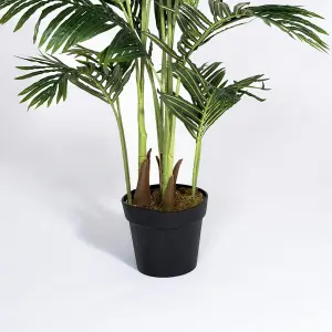 Blooming Artificial - 170cm / 5.5ft Artificial Paradise Palm