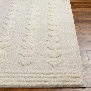 EAHEH Boho Shaggy Area Rug 200 x 275 cm