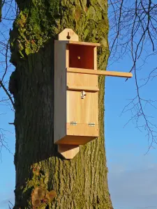 Wildlife World Tawny Owl Box - Made in Our UK Workshop