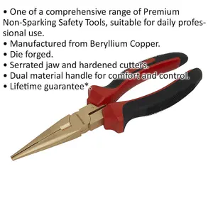 200mm Non Sparking Long Nose Pliers with Serrated Jaws - Premium Beryllium Copper Tool