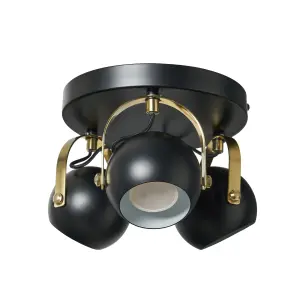 Litecraft Eyeball Black and Brass Adjustable Spotlight Plate