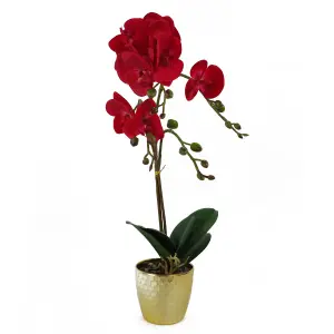 50cm Phalaenopsis Orchid Artificial - Red Leopard - Gold Pot