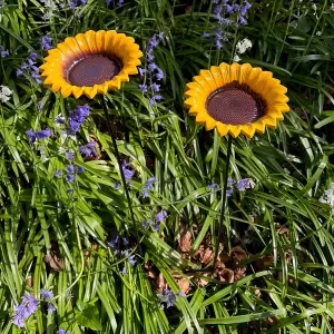 Cast Iron Wild Bird Sunflower Dish Bird Feeder (Set of 2)