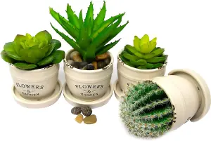 2 X Ceramic Flowers & Garden Pots With Succulents Plants Home Decor Xmas Gift