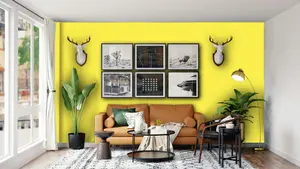 Leyland Trade Vinyl Soft Sheen Walls & Ceilings Emulsion Paint Sulfur Yellow (RAL 1016) - 5L