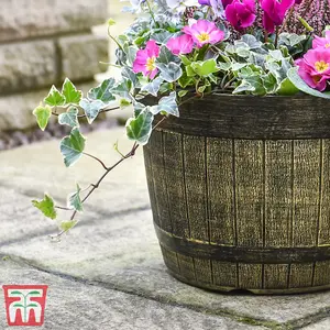 Whisky Barrel Planter Outdoor Garden 30cm Patio Pot for Plants (x1)