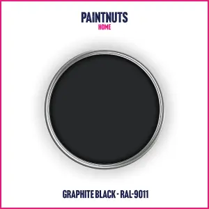 PaintNuts UPVC Door & Window Gloss Paint - Graphite Black - 400ml Spray Can (RAL9011)