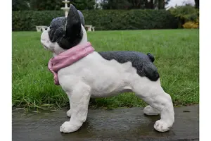 French bulldog with scarf garden ornament