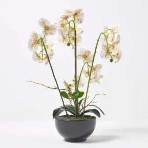 Homescapes White Orchid 62 cm Phalaenopsis in Ceramic Pot Extra Large, 5 Stems