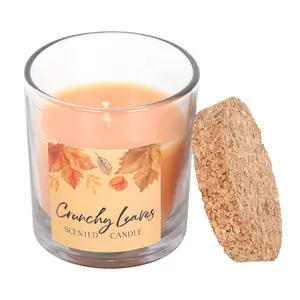 Something Different Autumn Crunchy Leaves Scented Candle Orange (One Size)