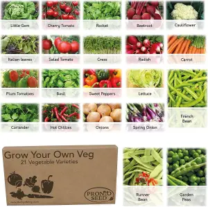 Pronto Seed Vegetable Bumper Pack, 21 Varieties, Over 1700 Seeds