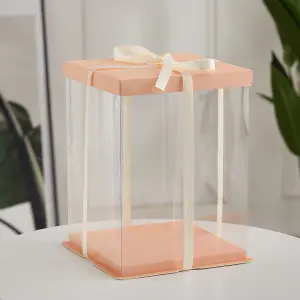 10 Inch Pink Clear Plastic Cake Gift Box with Ribbon 30cm W x 30cm D x 35cm H