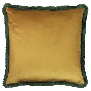 Paoletti Bexley Tropical Fringed Feather Filled Cushion