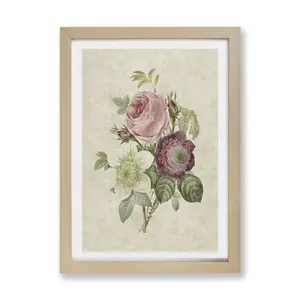 Pink Anemone Rose by Pierre-Joseph Redoute - Single Picture Frame Painting Oak / 24cm H x 33cm W x 2cm D