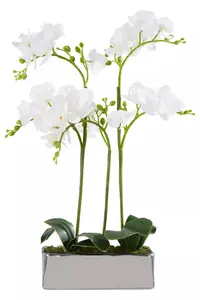 Fiori White Orchid Plant in Rectangular Pot Artificial Plant Foliage