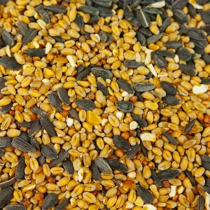 25kg SQUAWK All Seasons Wild Bird Food Mix - Year Round Quality Garden Feed