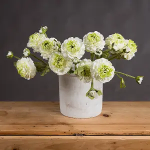 UK Homeliving Green Ranunculus Spray