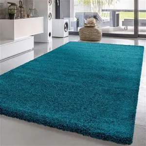 Shaggy Rugs Living Room Carpets Small Medium Large Symple Stuff Rug Size: Rectangle 80cm X 150cm