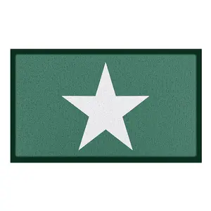 Green Star Indoor & Outdoor Doormat - 70x40cm