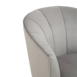 Interiors by Premier Versatile Yolanda Grey Velvet Chair, Exquisite & Cozy Desk Chair Velvet, Easy to Clean Velvet Accent Chair